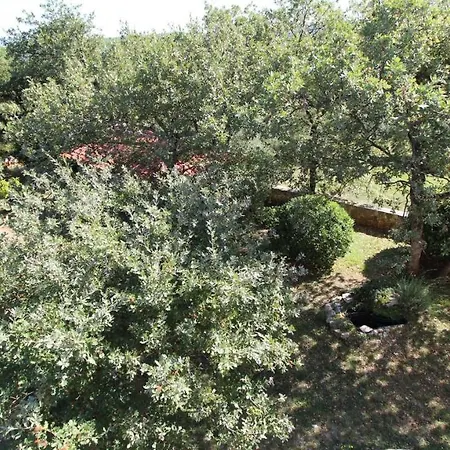 Penzion Damir