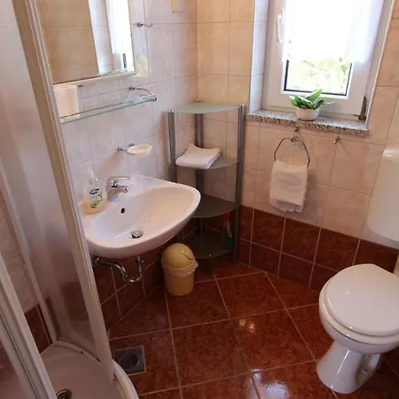 Damir Sveti Ivan Dobrinjski